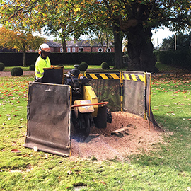 Stump Grinding Stump removal