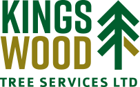 Kings Wood Tree Services Kingswood Tree Care